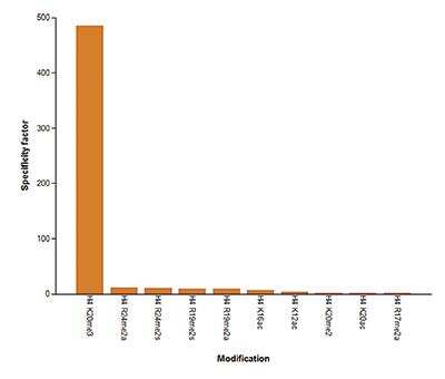 Protein Array: Histone H3 [Trimethyl Lys20] Antibody [NBP2-54620]